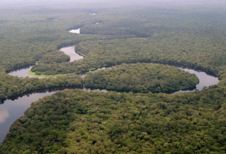 congo basin