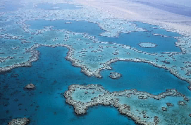 great barrier reef