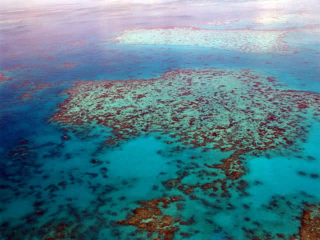 great barrier reef